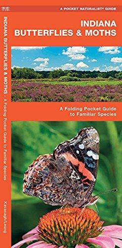 IN Butterflies &Pollinators- Pkt Nat