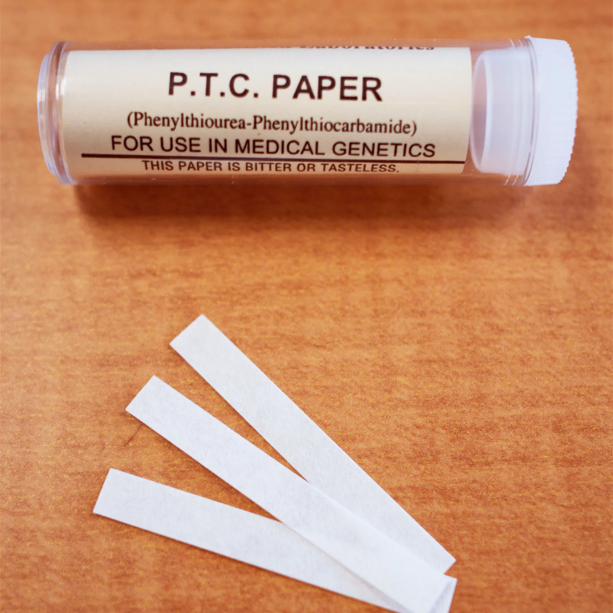 Ptc Paper Activity PTC Paper 10pk — Nature's Workshop Plus