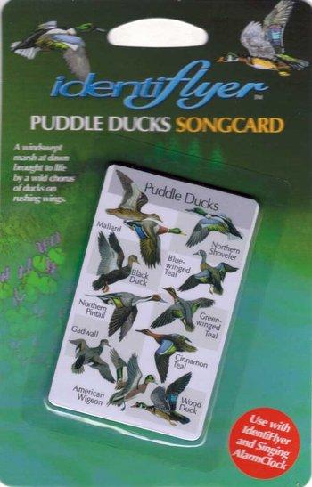 Puddle Ducks Songcard