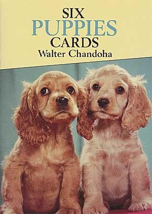 *Postcard Puppies-sd
