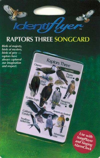 Raptors Three - Songcard