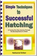 Simple Techniques to Successful Hatching