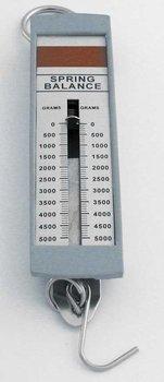 5000g Metric Spring Scale