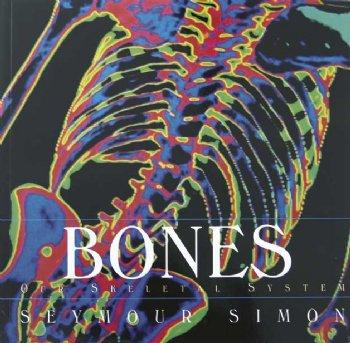 Human Body Series-Bones