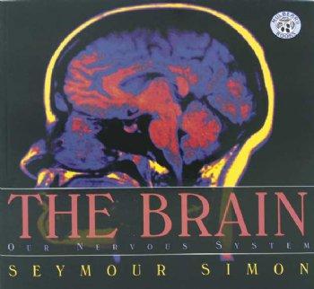 Human Body Series-Brain