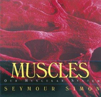 Human Body Series-Muscles