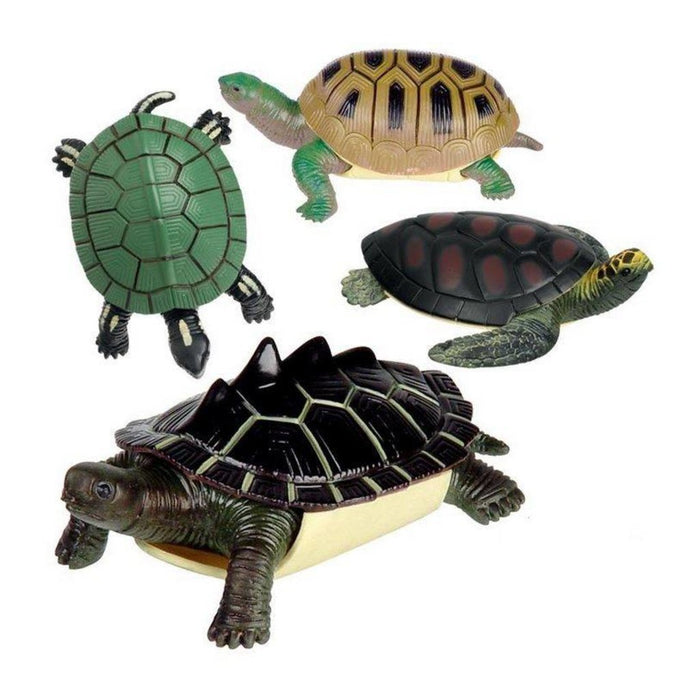 Turtle Squishimals