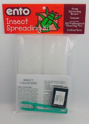 Insect Spreading Kit