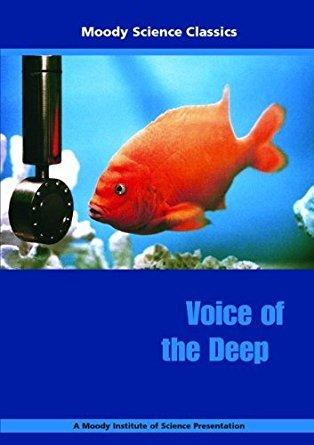 Voice of the Deep - DVD