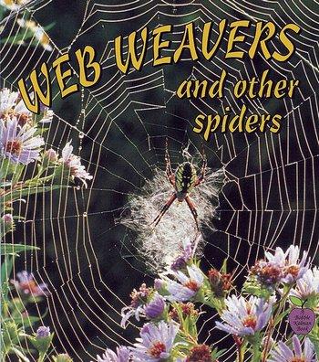 spider plant book Web Weavers and Other Spiders