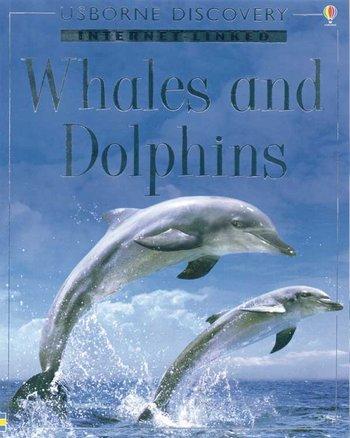 Discovery-Whales & Dolphins