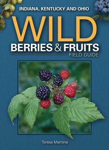 Wild Berries and Fruits Guide of upper Midwest